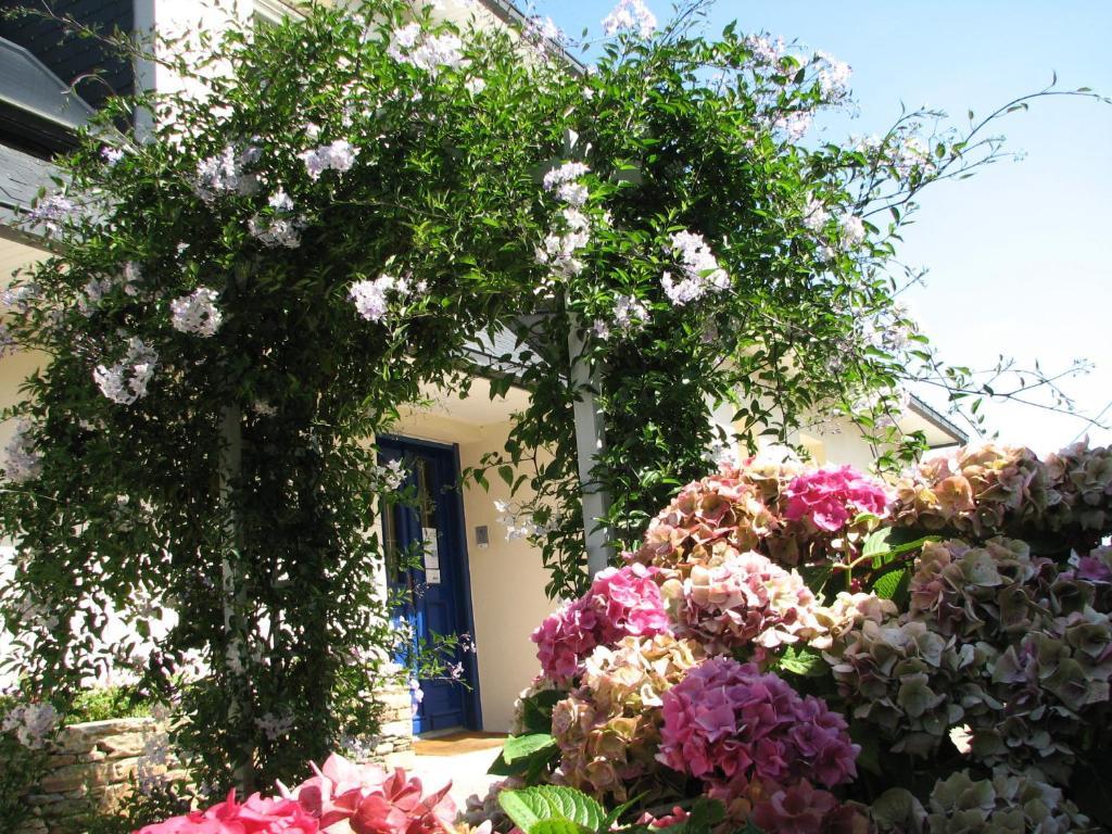 ロキレック L'Escale Evel Er Ger Bed & Breakfast エクステリア 写真